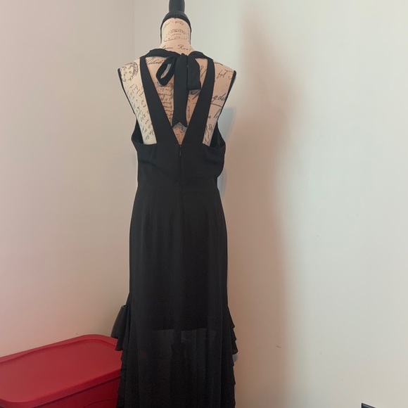 Belle Badgley Mischka High low Ruffle Dress - Picture 11 of 16